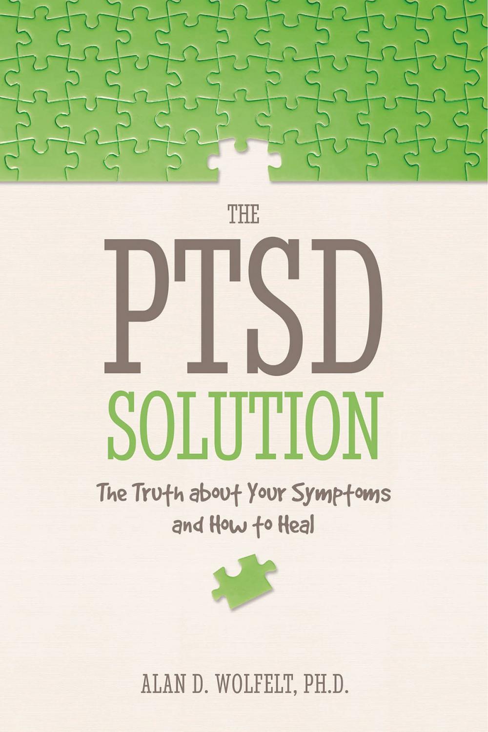 Big bigCover of The PTSD Solution