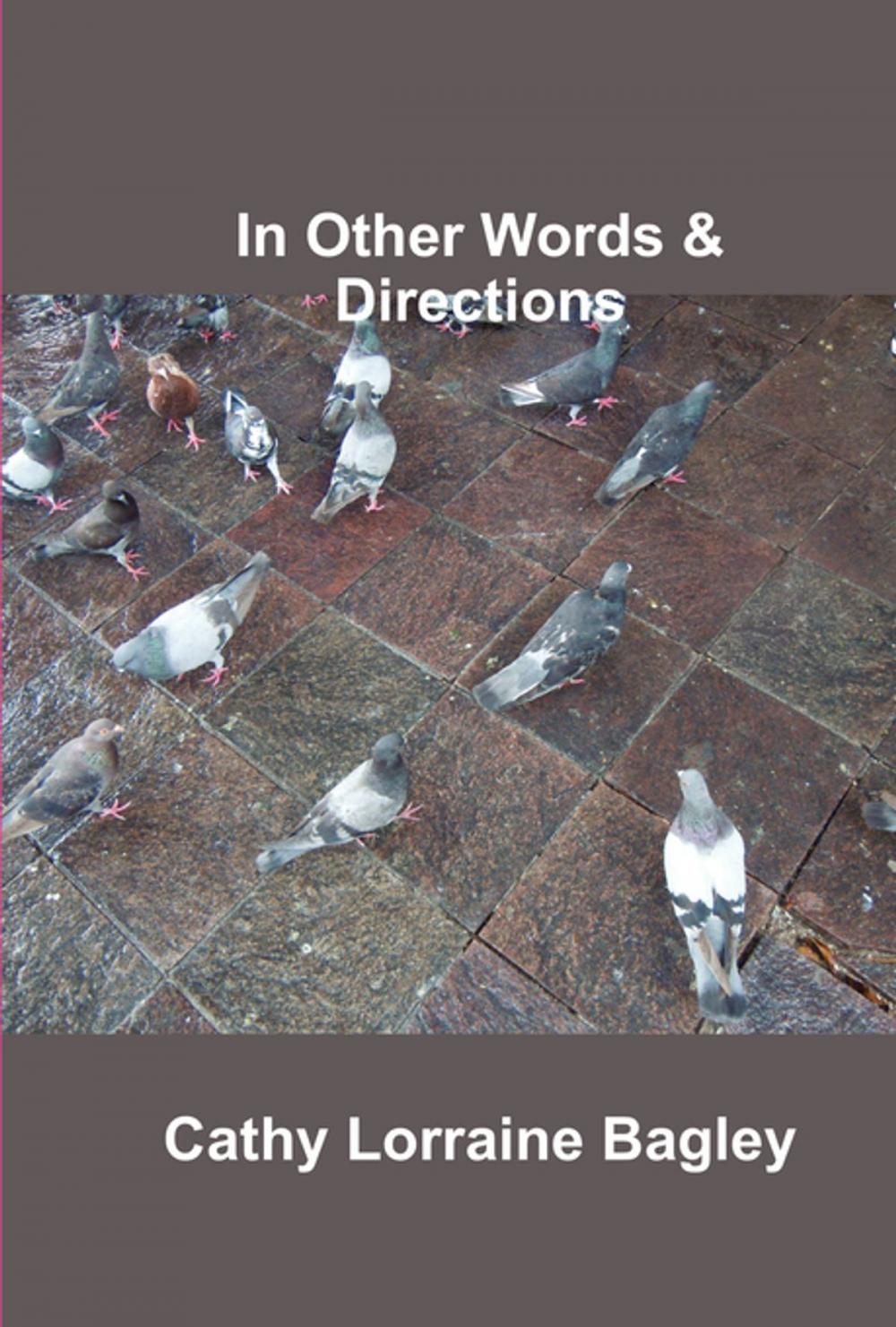 Big bigCover of In Other Words & Directions