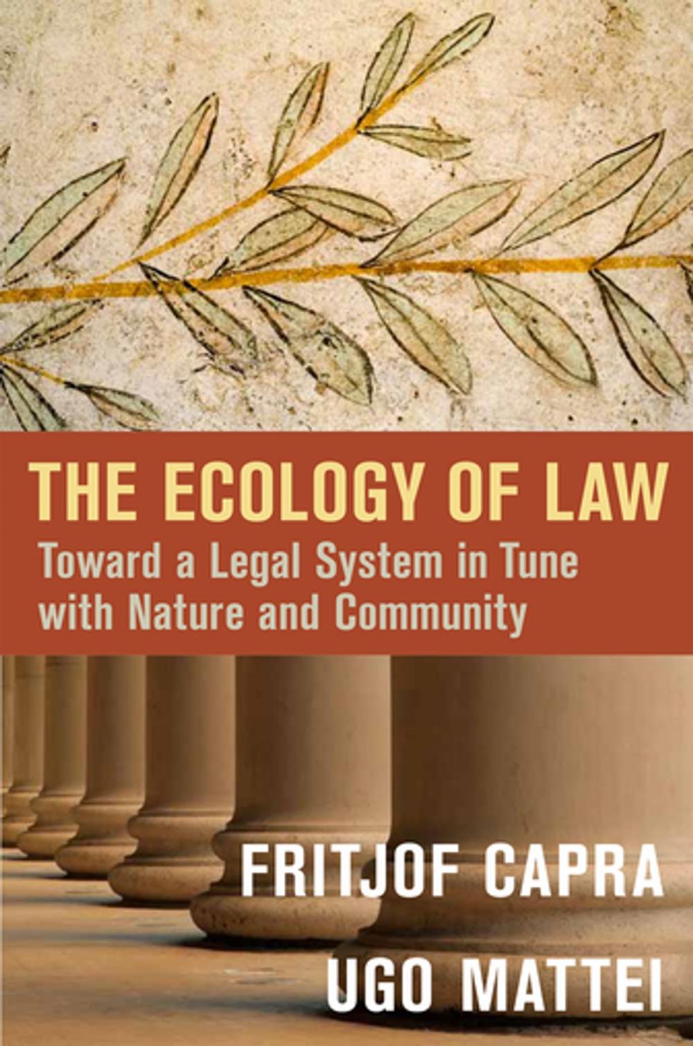 Big bigCover of The Ecology of Law