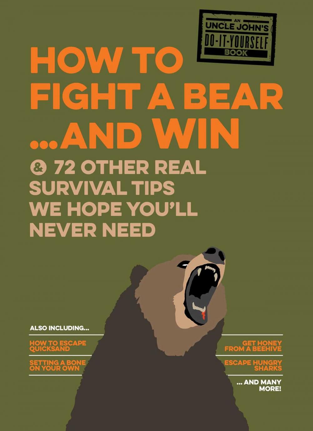 Big bigCover of How to Fight a Bear...and Win