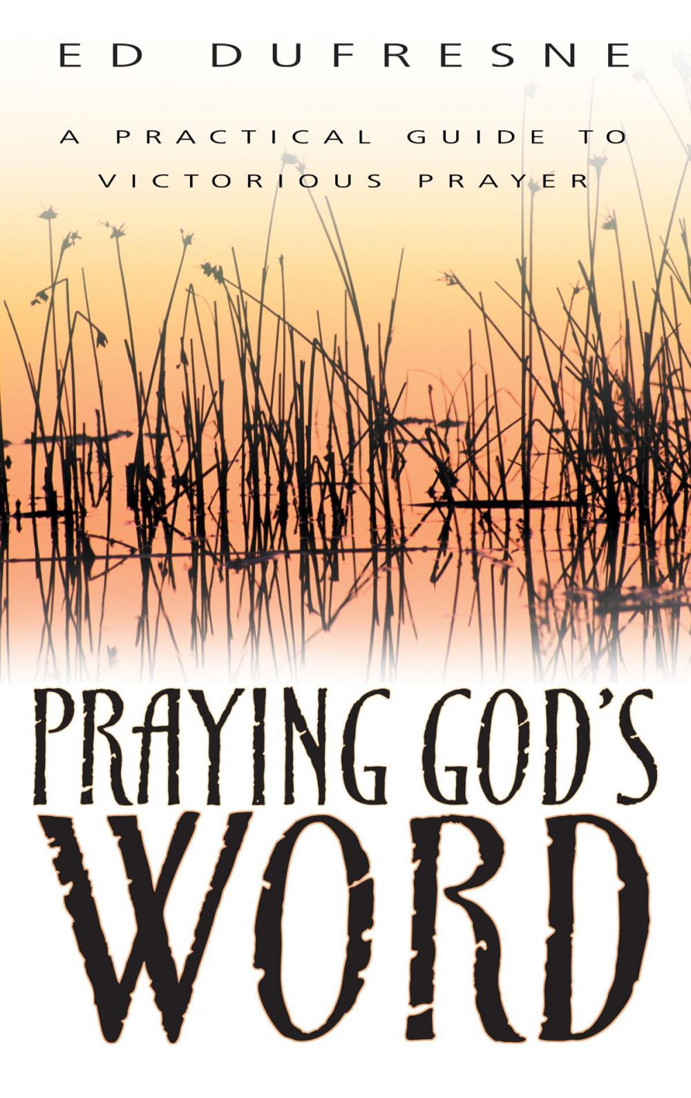 Big bigCover of Praying God's Word