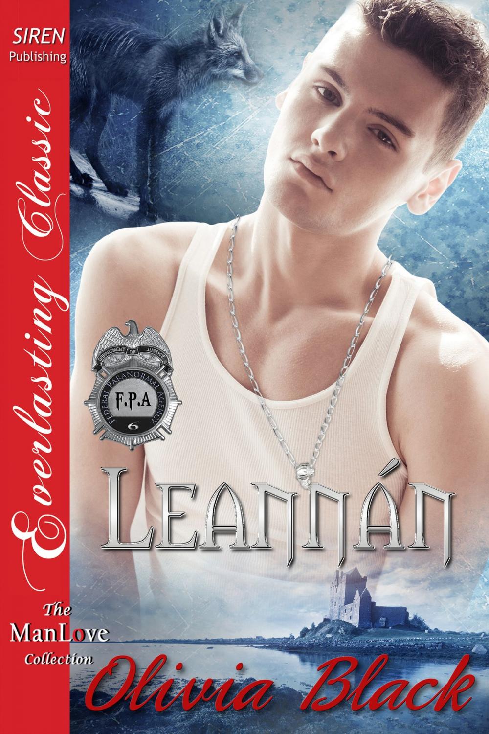 Big bigCover of Leannan