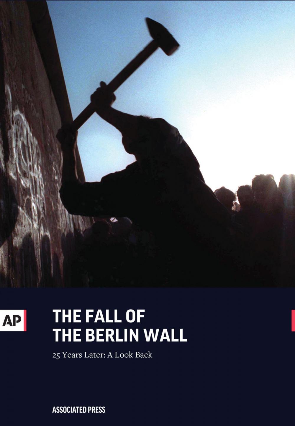 Big bigCover of Fall of the Berlin Wall