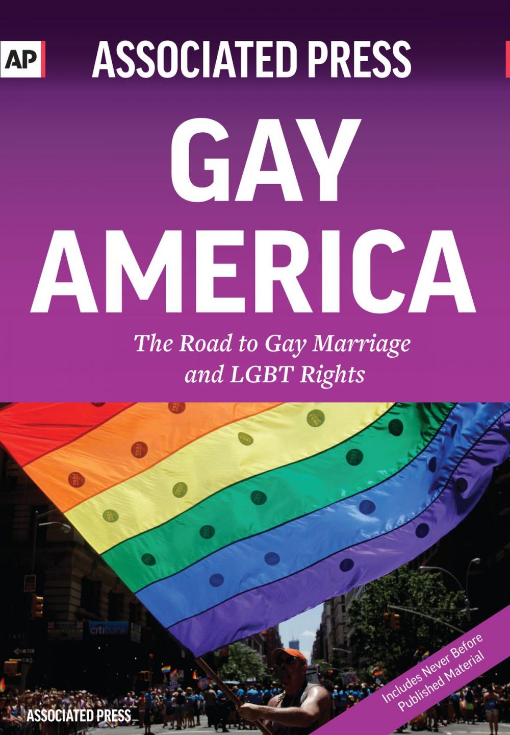 Big bigCover of Gay America