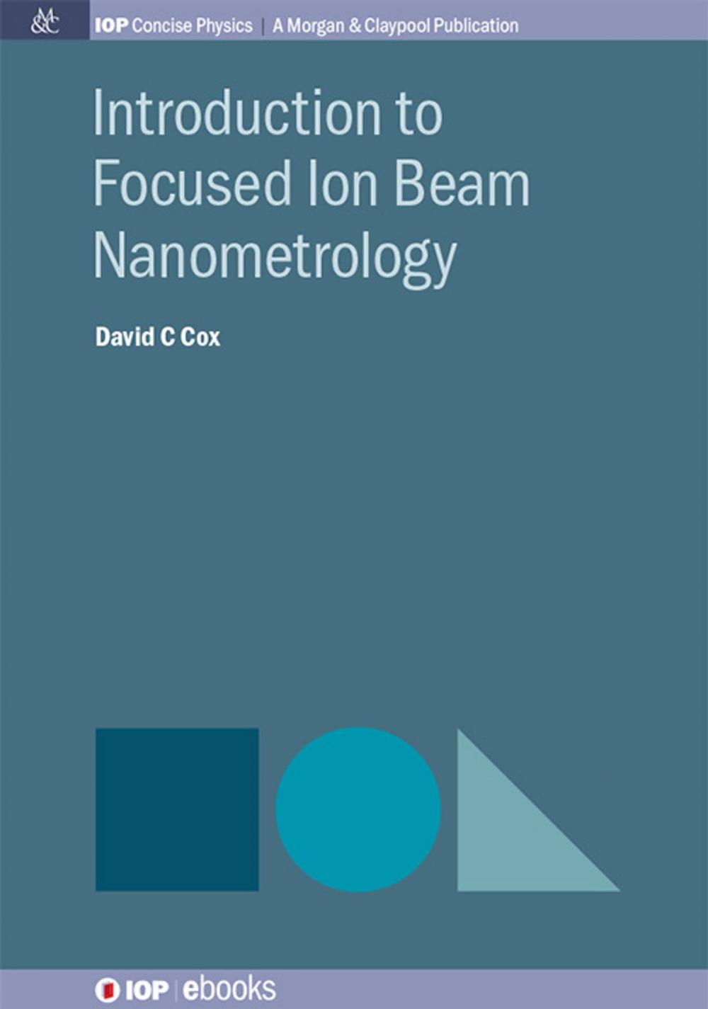 Big bigCover of Introduction to Focused Ion Beam Nanometrology