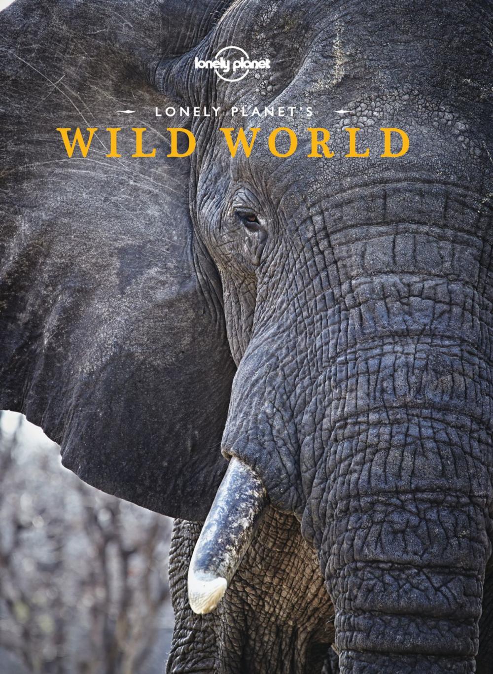 Big bigCover of Lonely Planet's Wild World