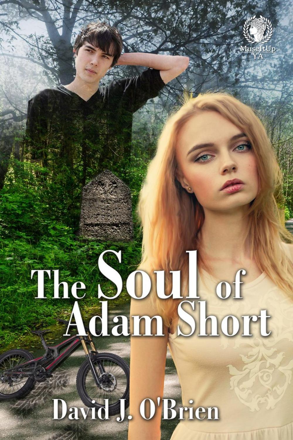 Big bigCover of The Soul of Adam Short