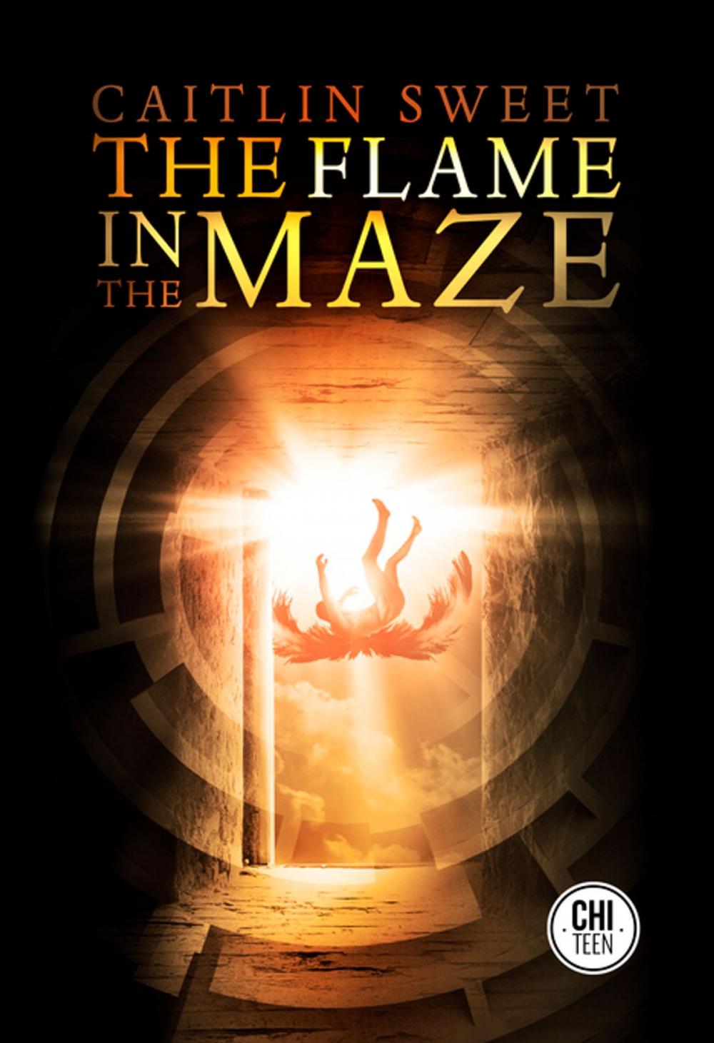 Big bigCover of The Flame in the Maze