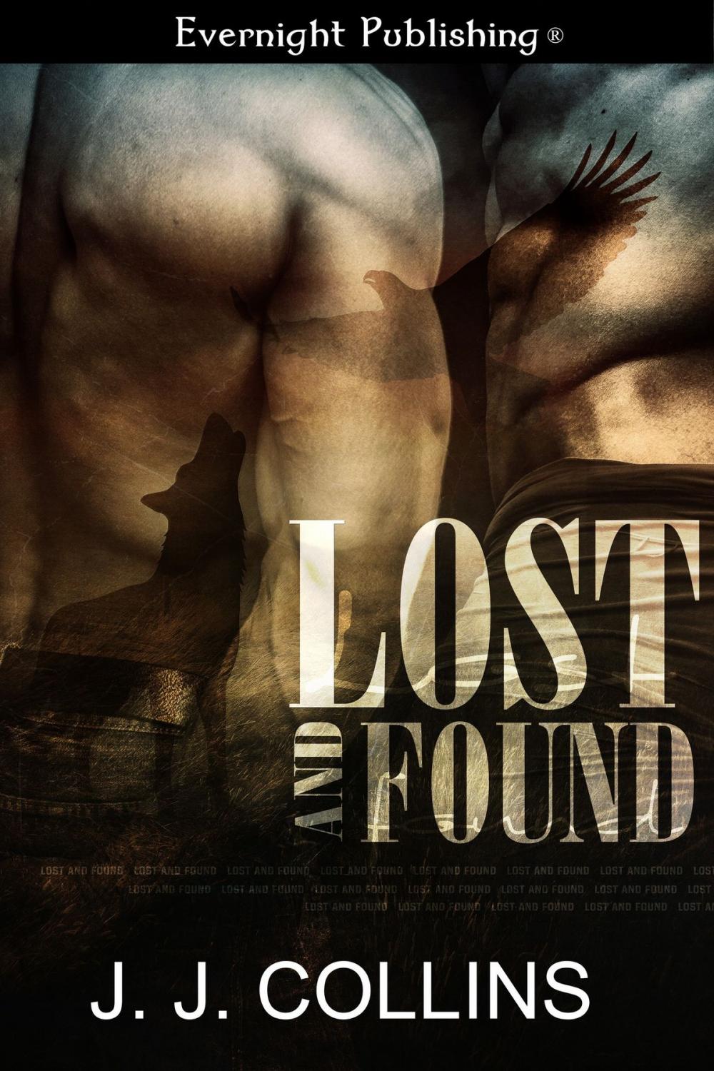 Big bigCover of Lost and Found