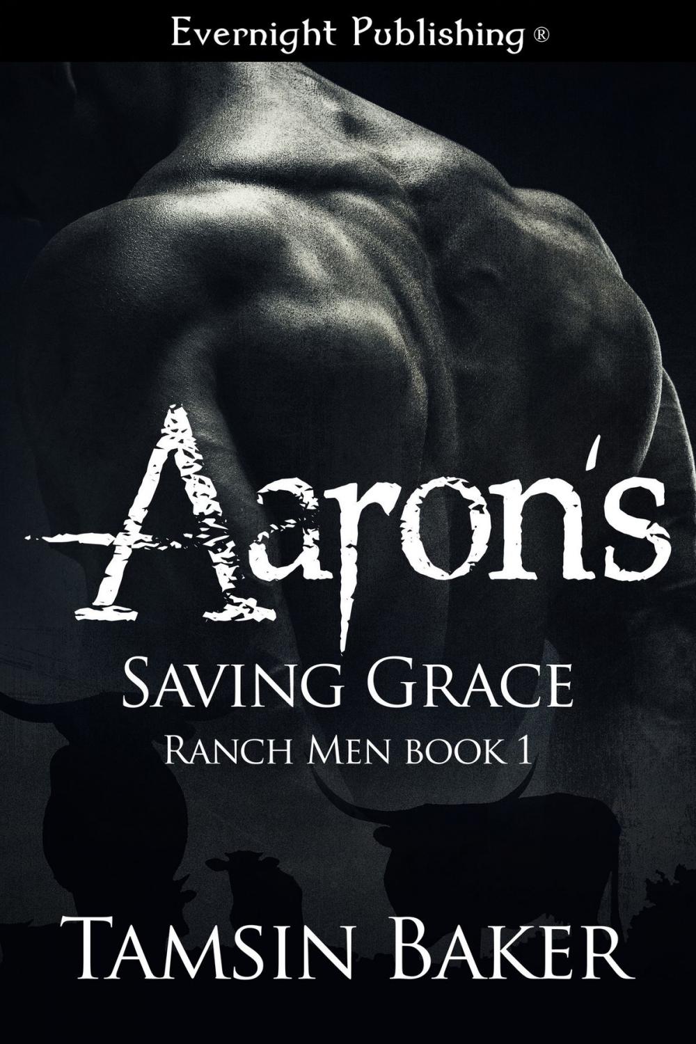 Big bigCover of Aaron's Saving Grace