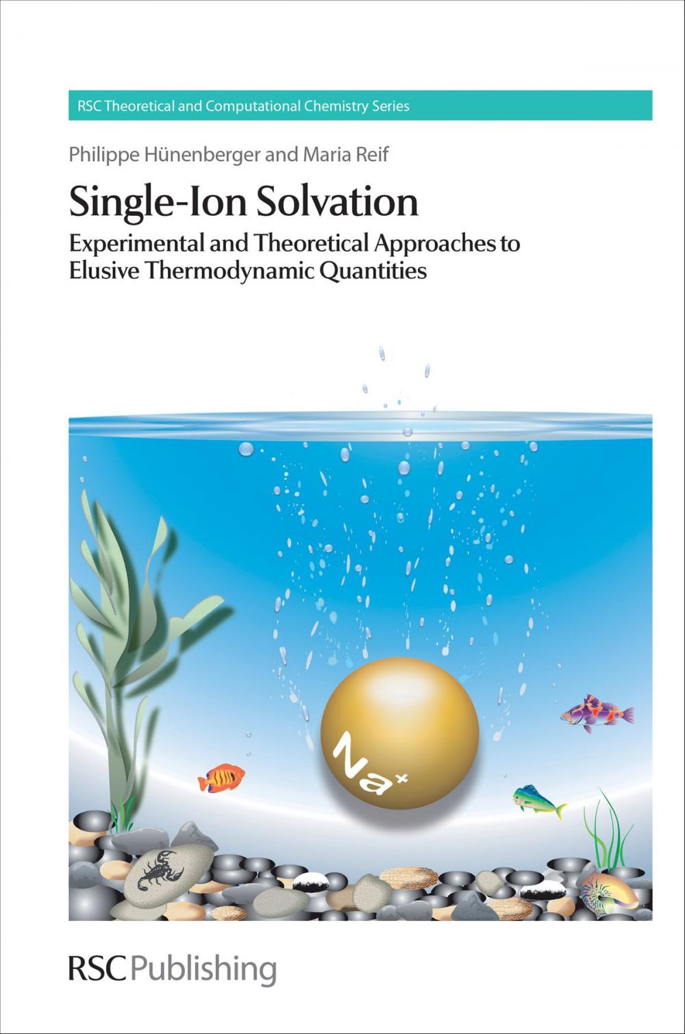 Big bigCover of Single-Ion Solvation