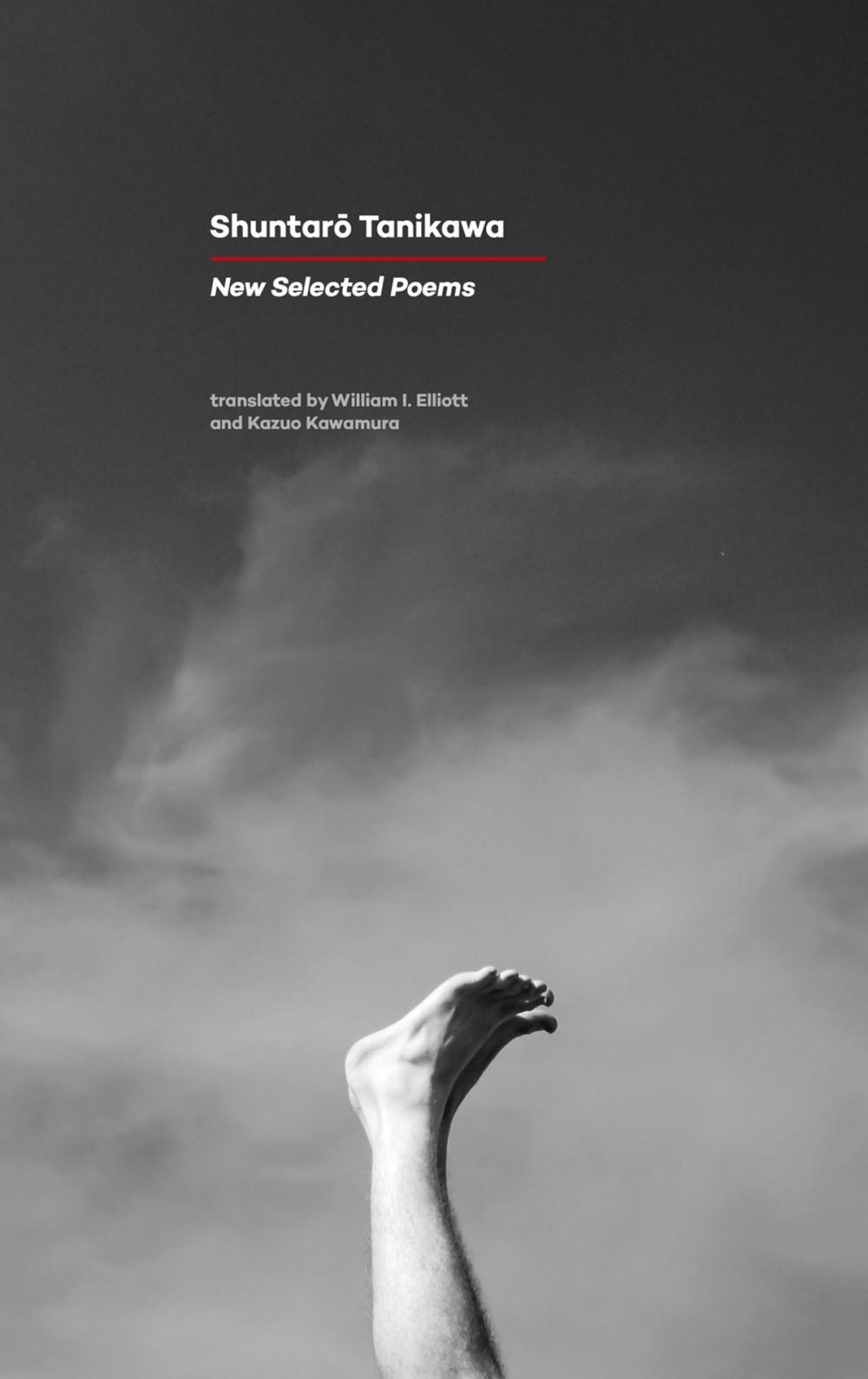 Big bigCover of New Selected Poems