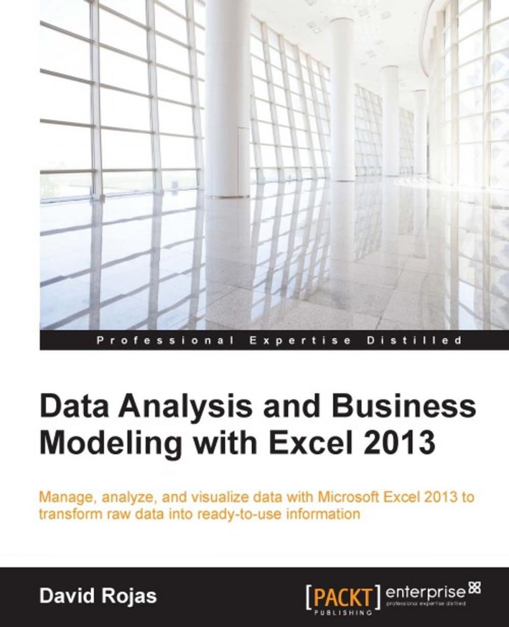 Big bigCover of Data Analysis and Business Modeling with Excel 2013