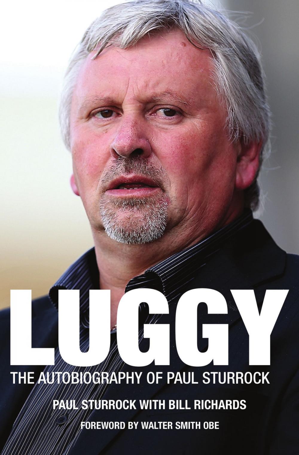 Big bigCover of Luggy