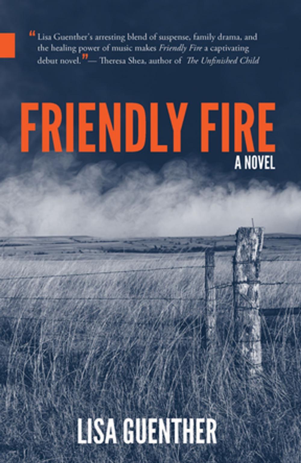 Big bigCover of Friendly Fire