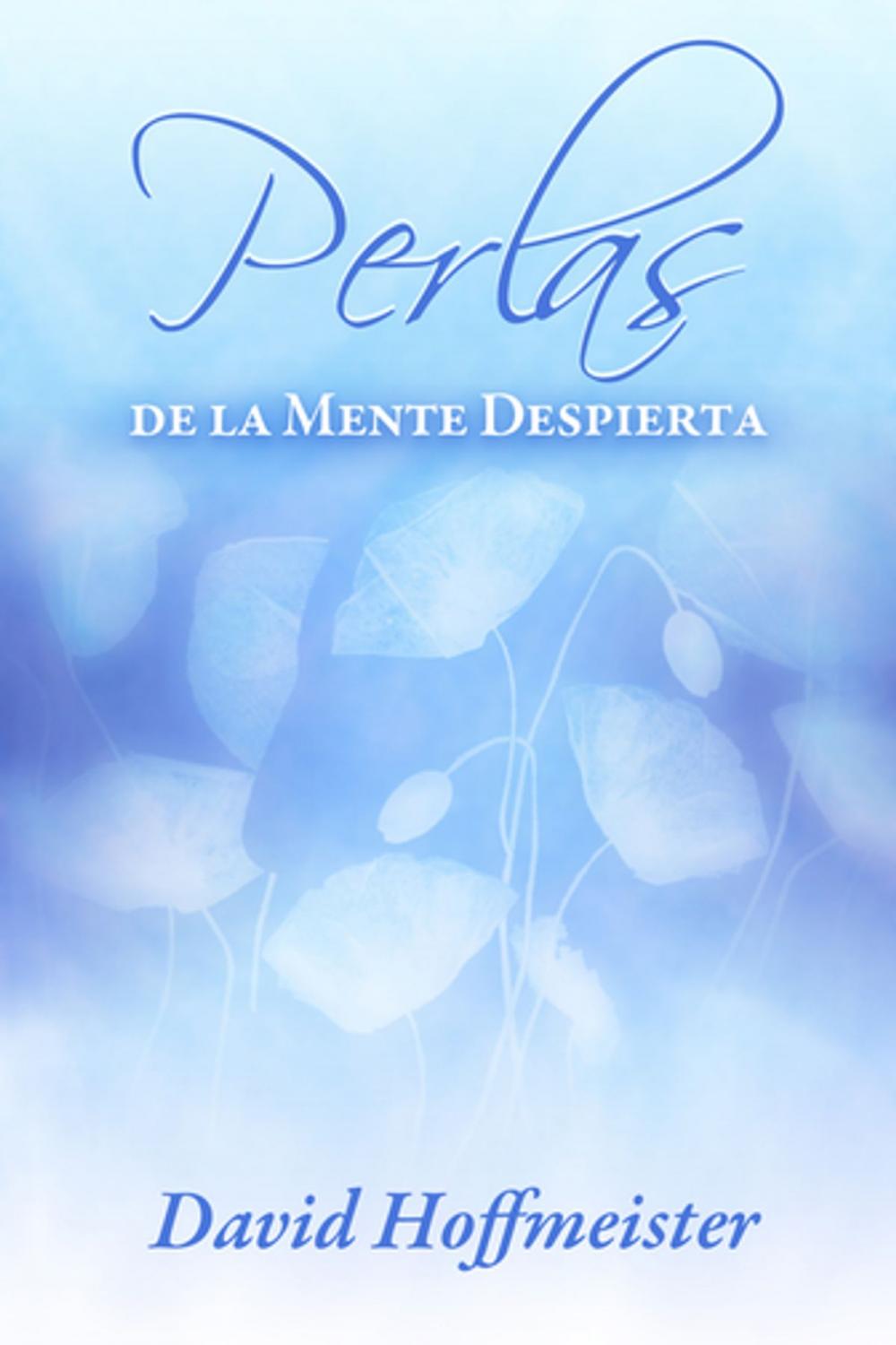 Big bigCover of Perlas de la Mente Despierta