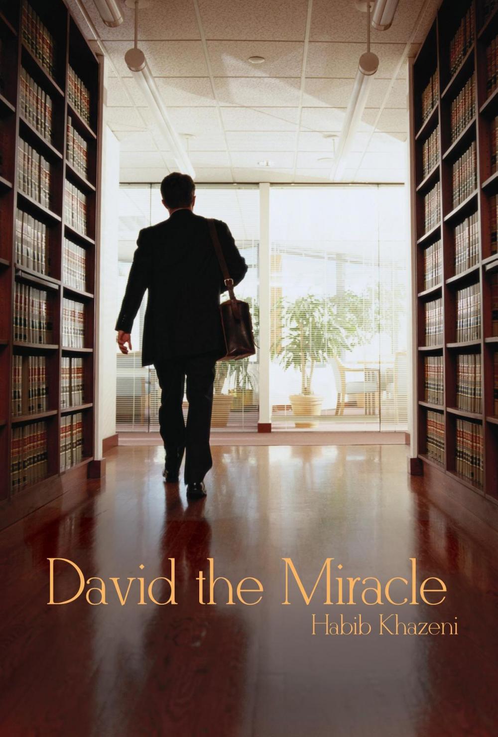 Big bigCover of David the Miracle