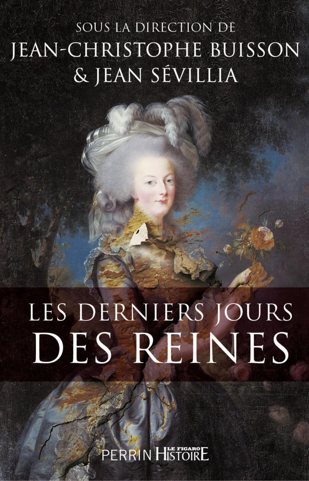 Big bigCover of Les derniers jours des reines