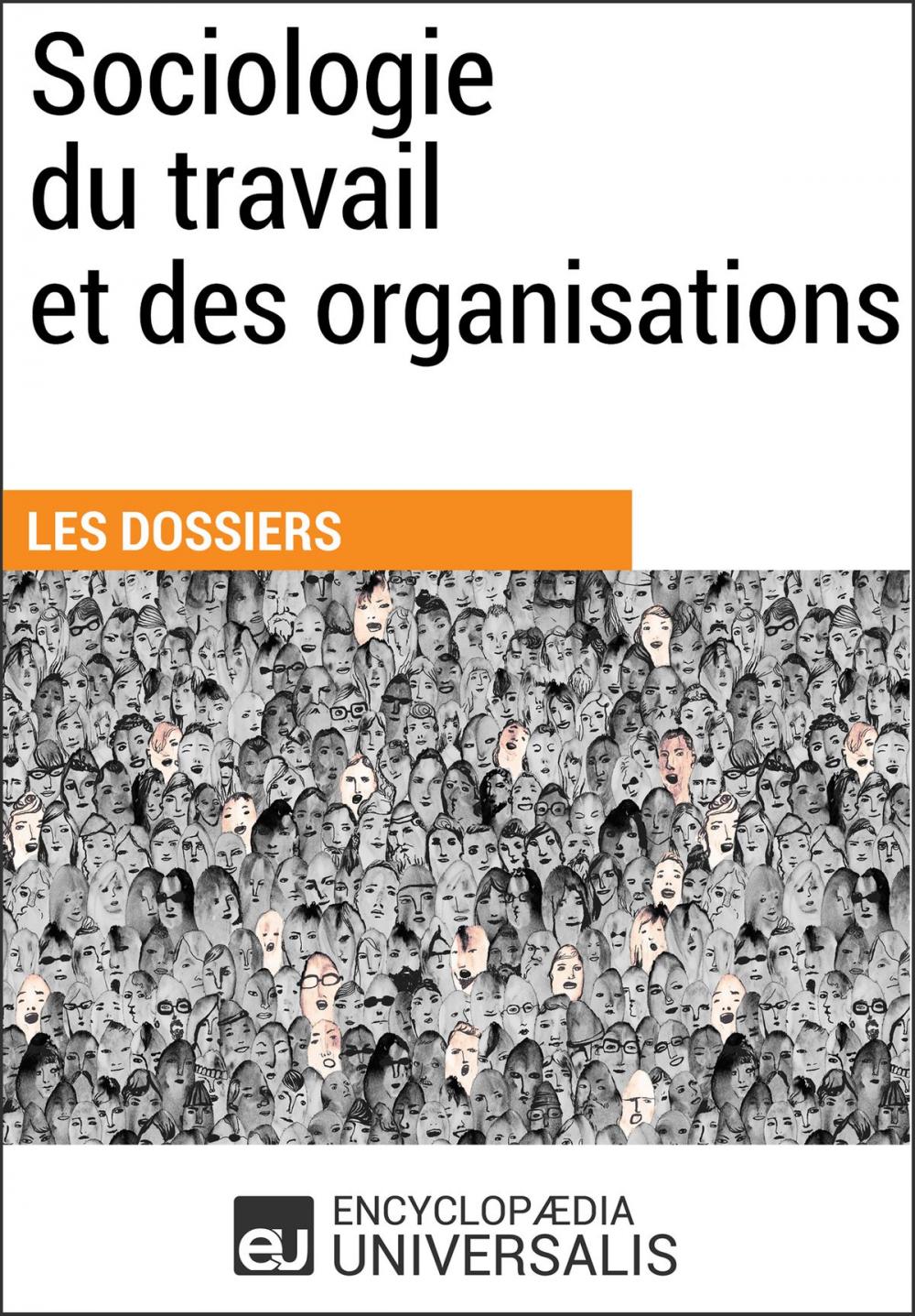 Big bigCover of Sociologie du travail et des organisations