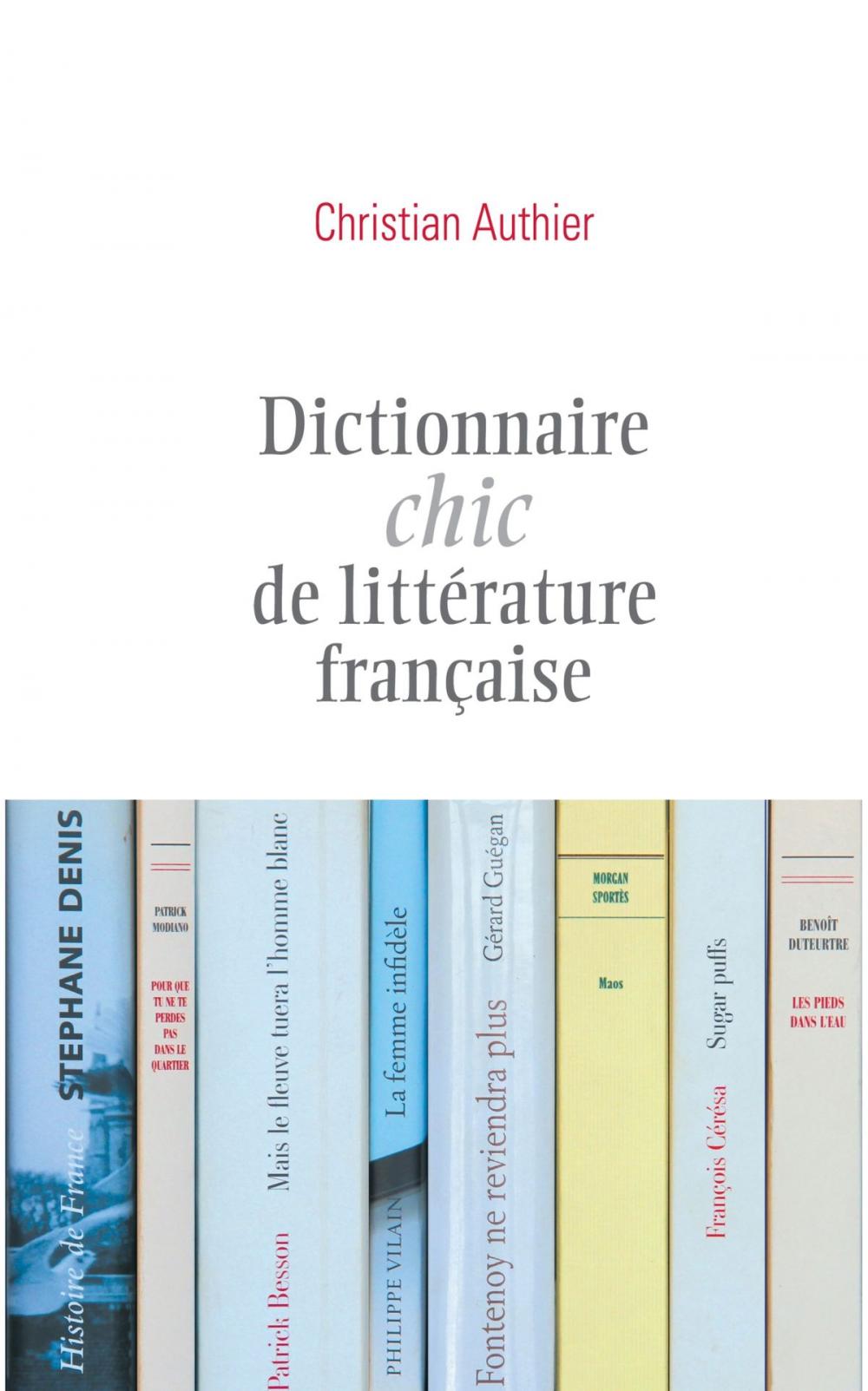 Big bigCover of Dictionnaire chic de littérature française