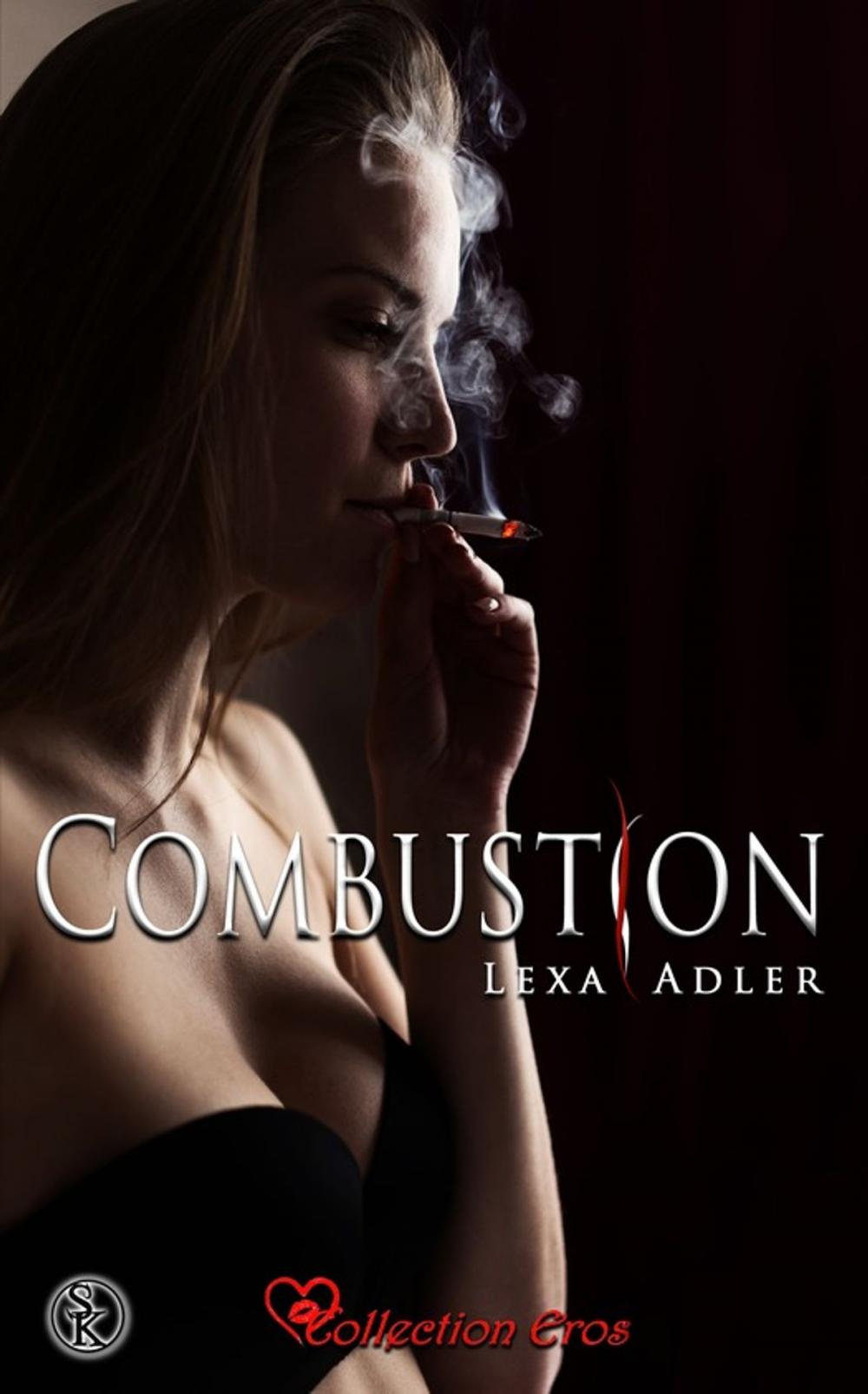 Big bigCover of Combustion