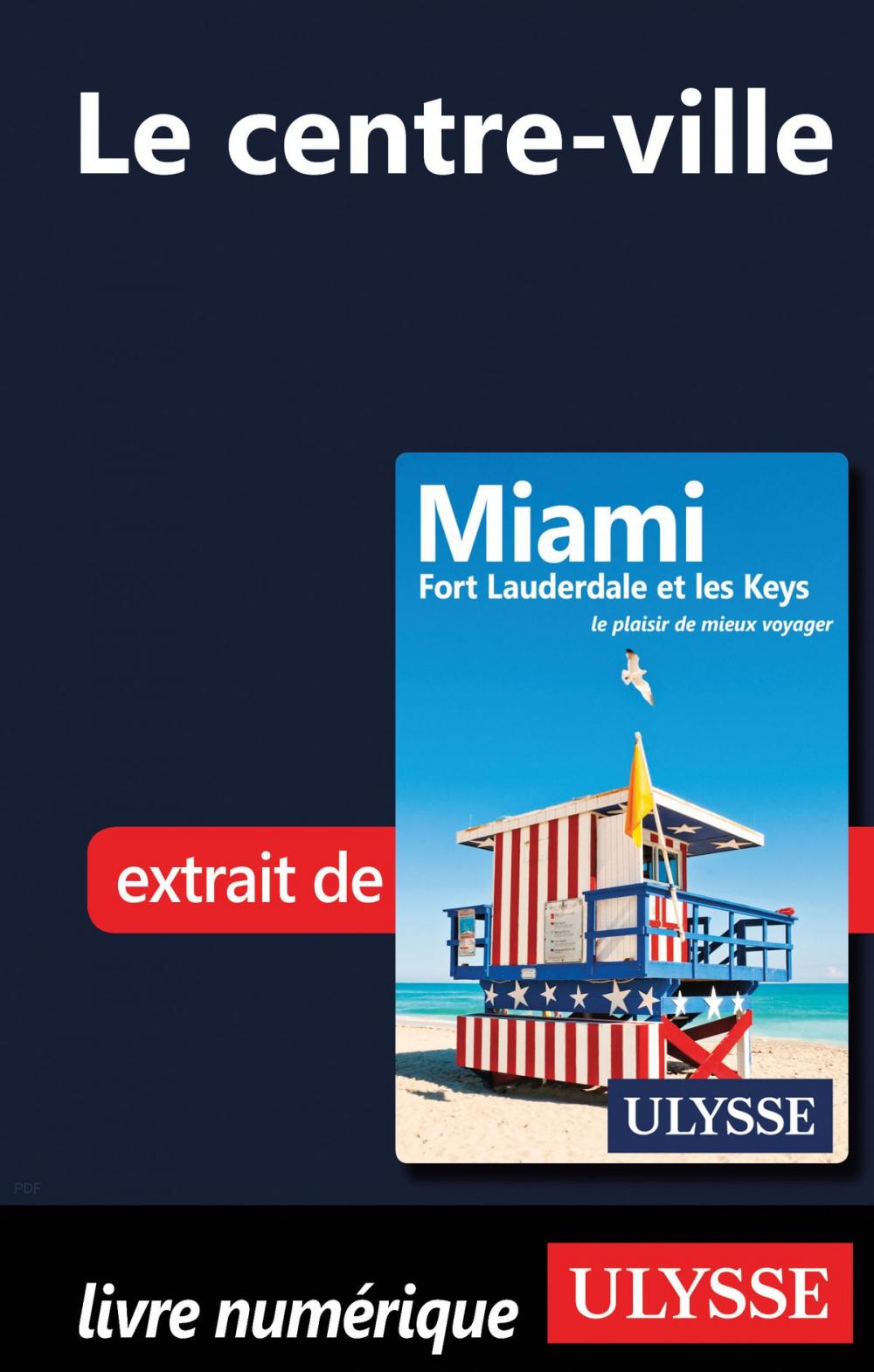 Big bigCover of Miami - Le centre-ville