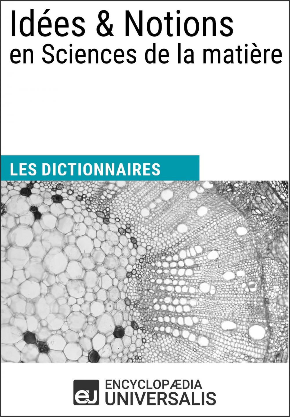 Big bigCover of Dictionnaire des Idées & Notions en Sciences de la matière