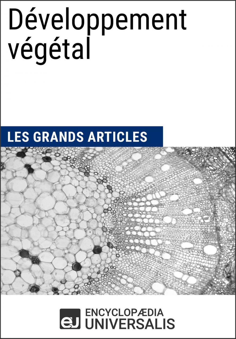 Big bigCover of Développement végétal