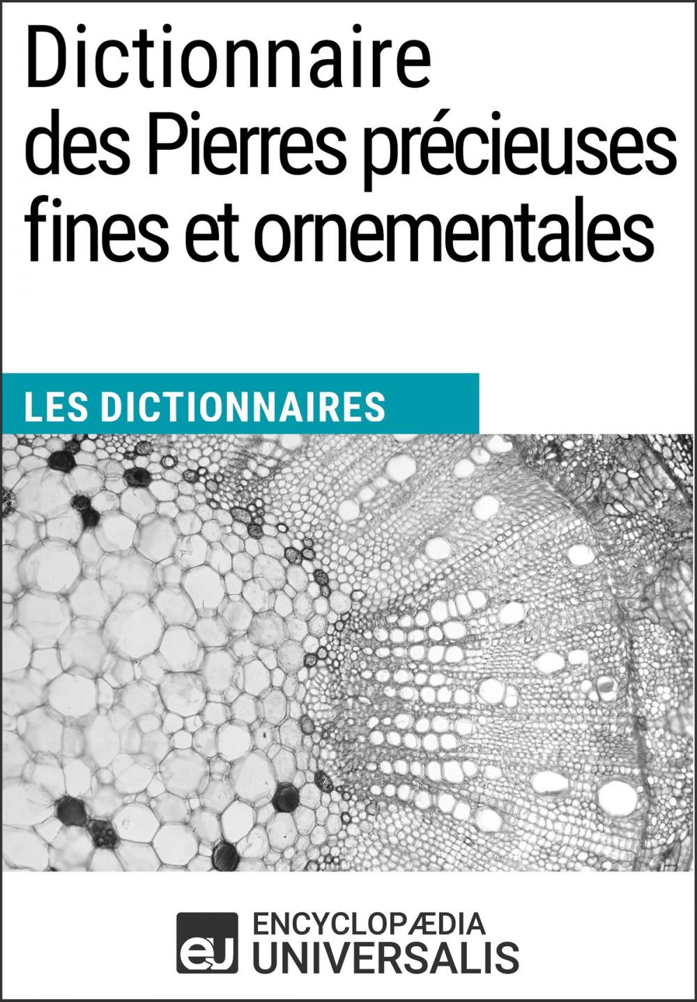 Big bigCover of Dictionnaire des Pierres précieuses fines et ornementales