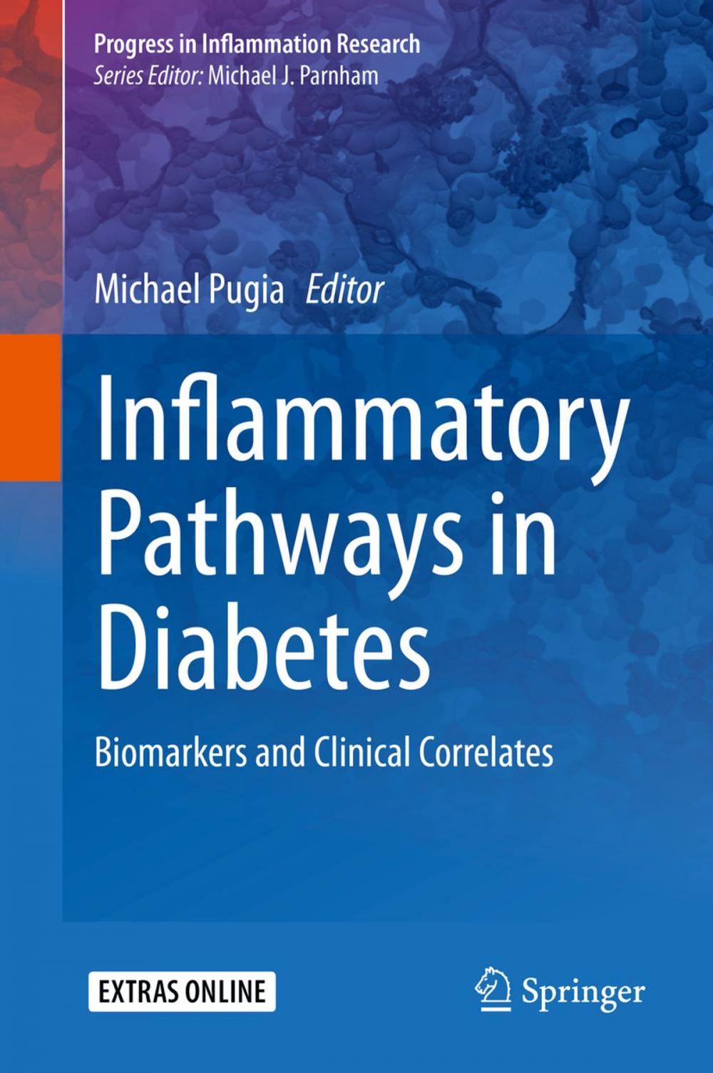 Big bigCover of Inflammatory Pathways in Diabetes