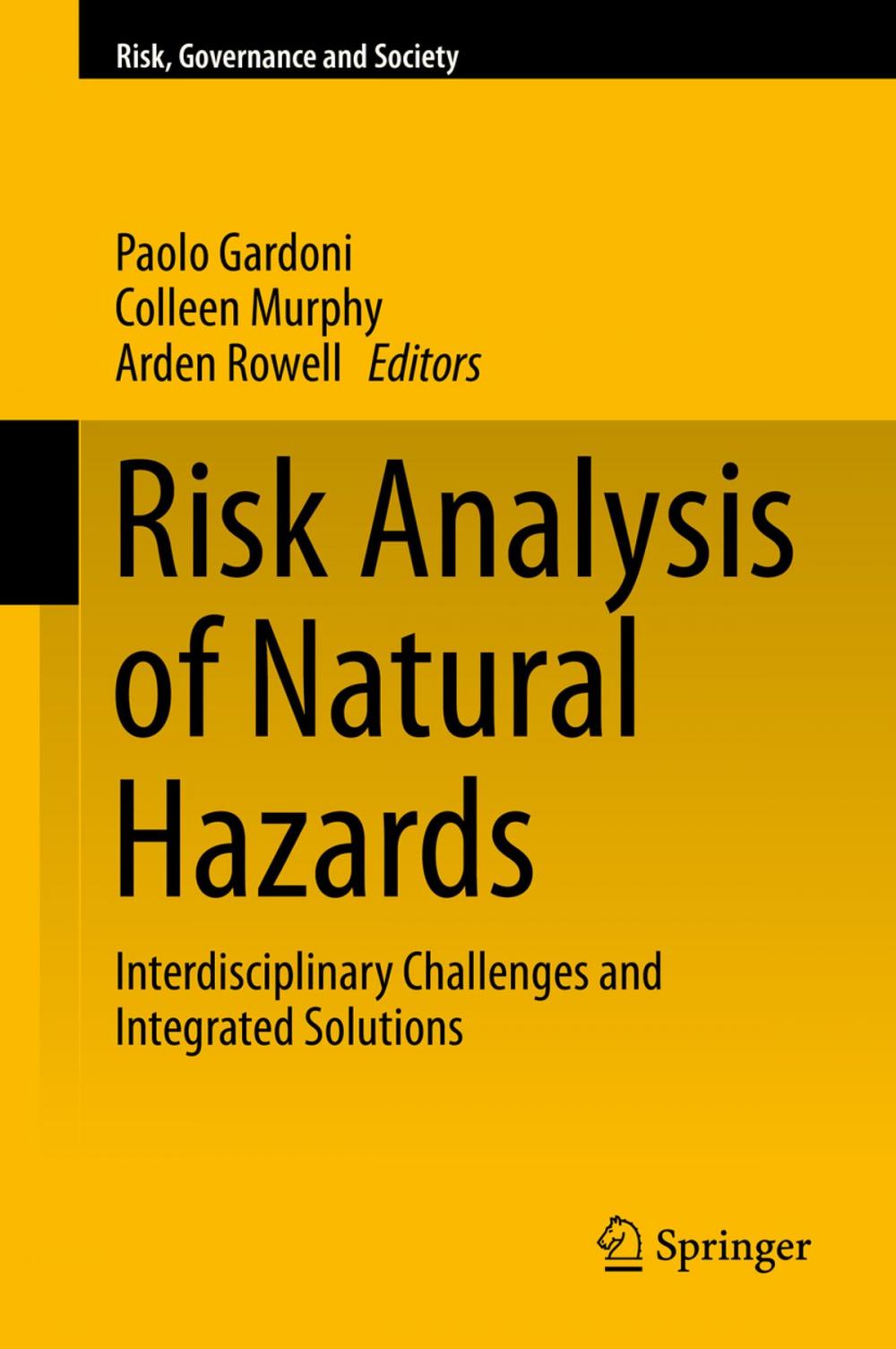 Big bigCover of Risk Analysis of Natural Hazards