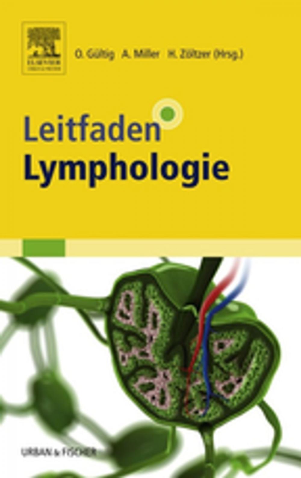 Big bigCover of Leitfaden Lymphologie