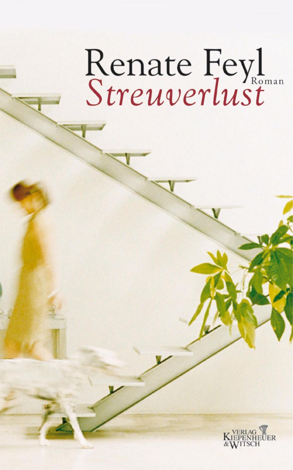 Big bigCover of Streuverlust