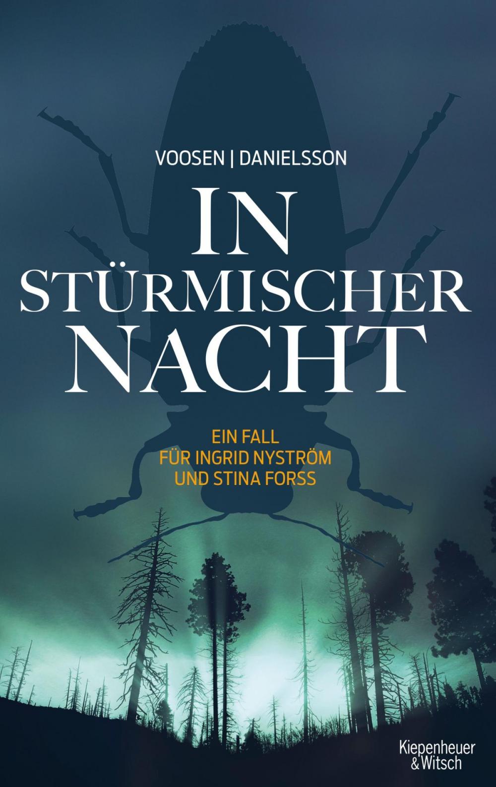 Big bigCover of In stürmischer Nacht