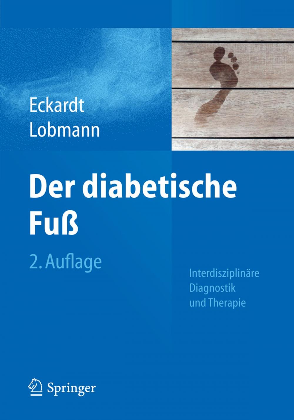 Big bigCover of Der diabetische Fuß