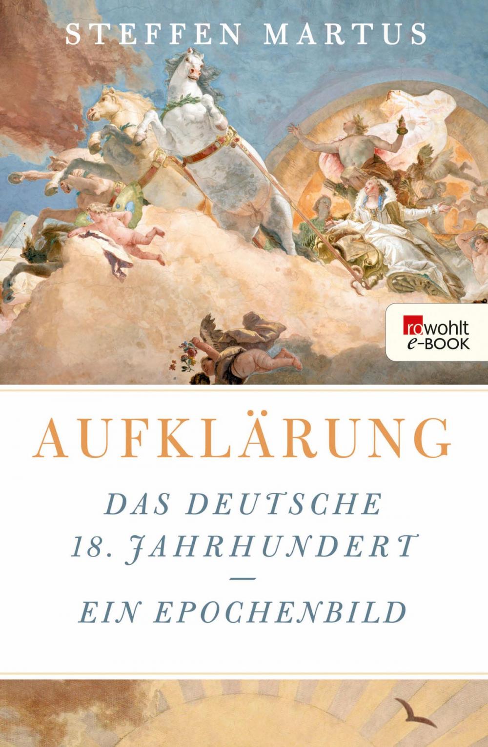 Big bigCover of Aufklärung