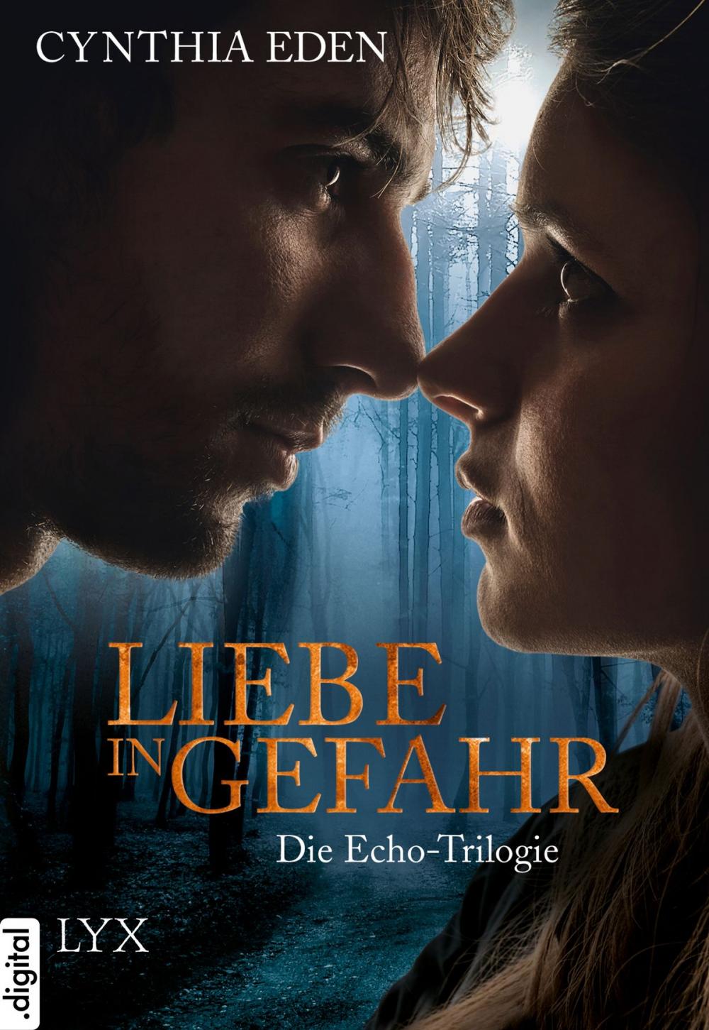 Big bigCover of Liebe in Gefahr - Die Echo-Trilogie