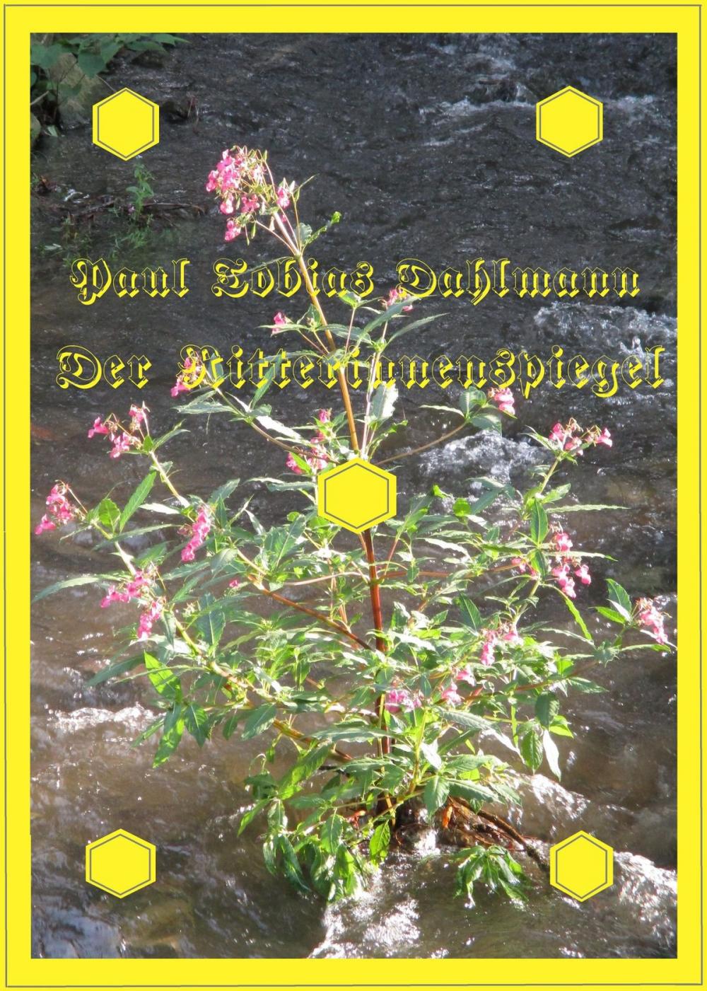 Big bigCover of Der Ritterinnenspiegel