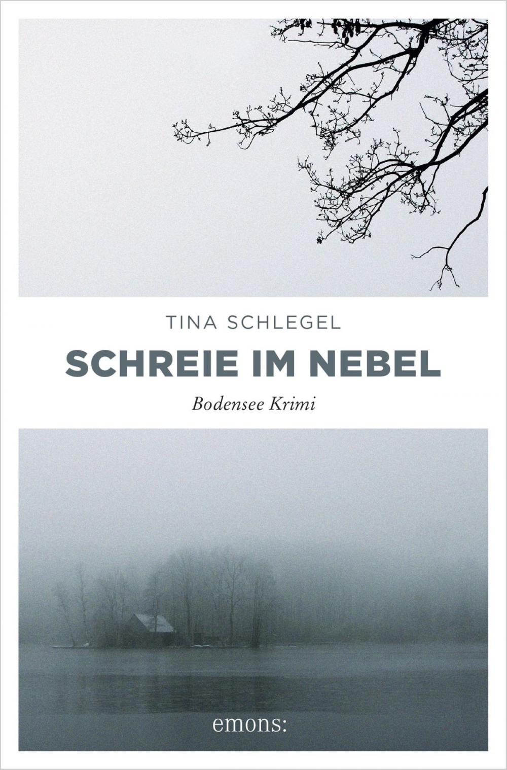 Big bigCover of Schreie im Nebel