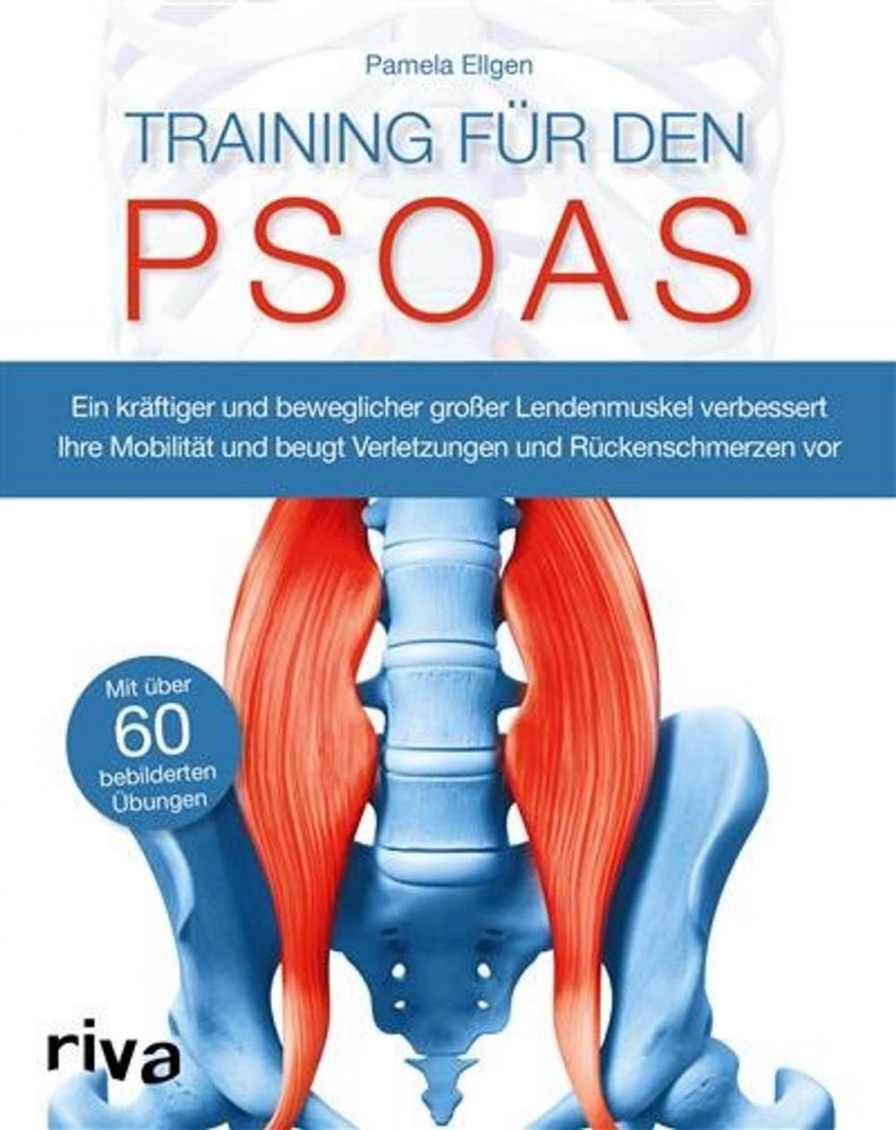 Big bigCover of Training für den Psoas