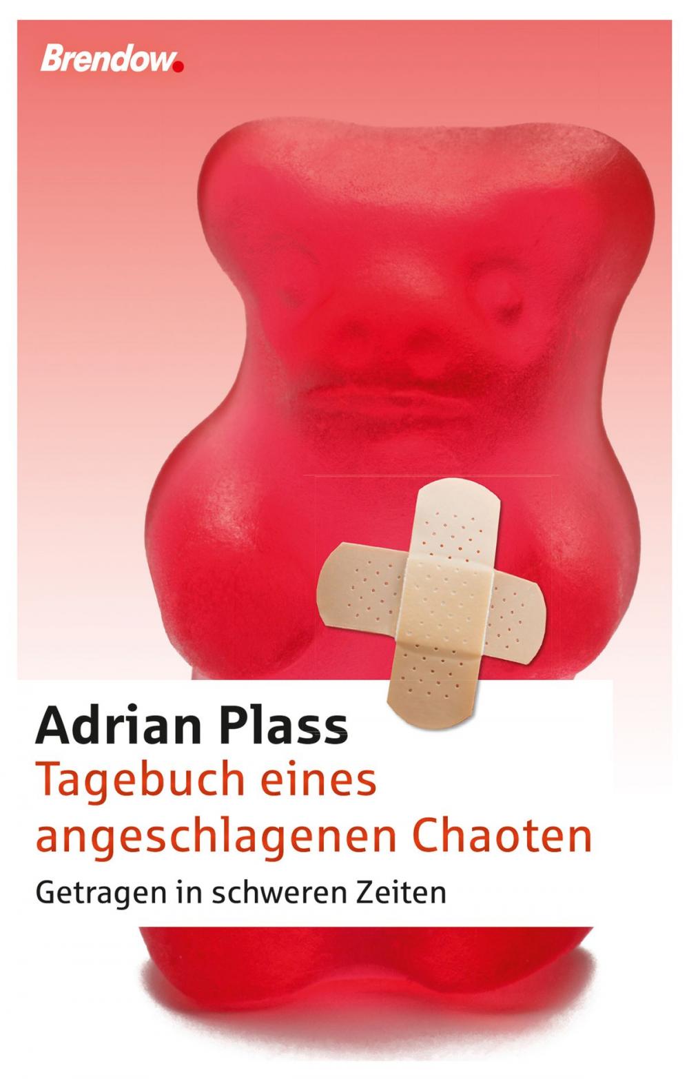 Big bigCover of Tagebuch eines angeschlagenen Chaoten