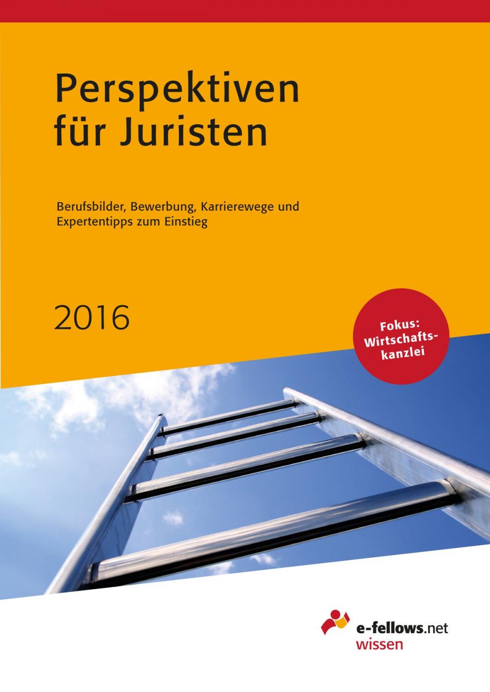 Big bigCover of Perspektiven für Juristen 2016