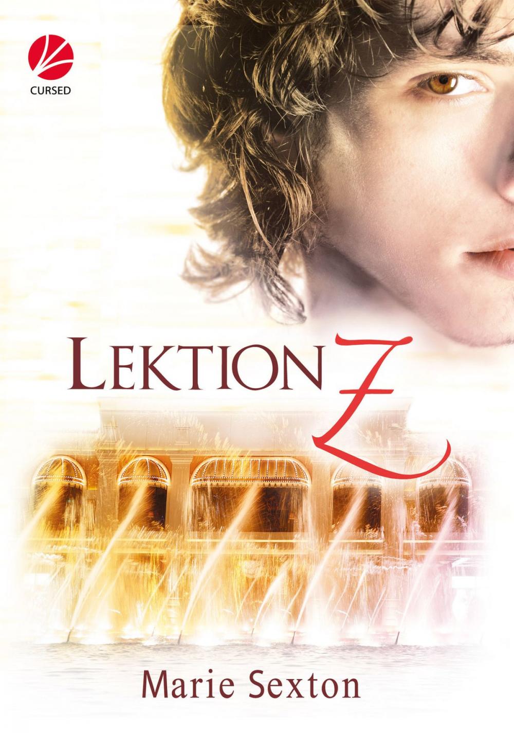 Big bigCover of Lektion Z