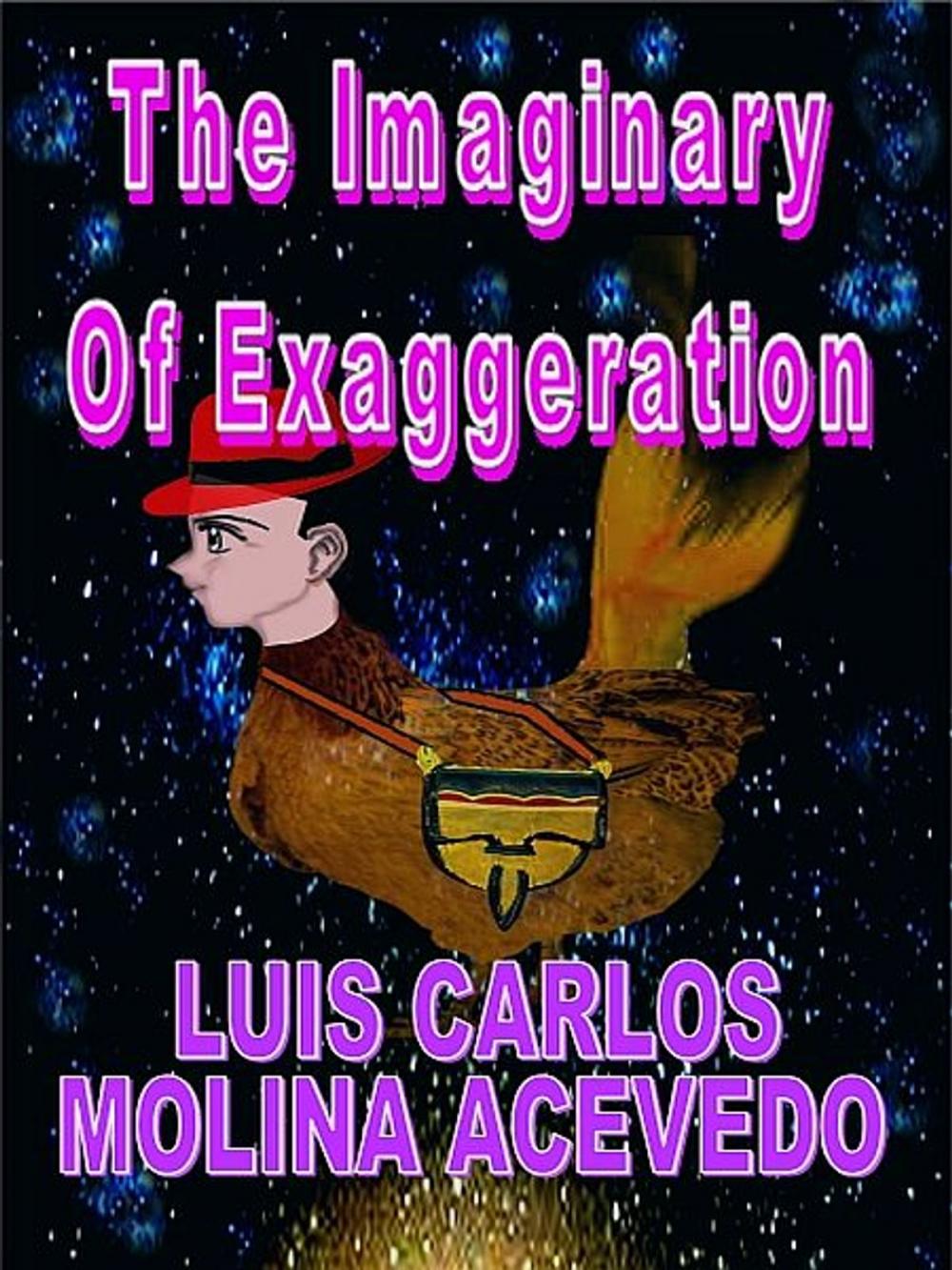 Big bigCover of The Imaginary of Exaggeration