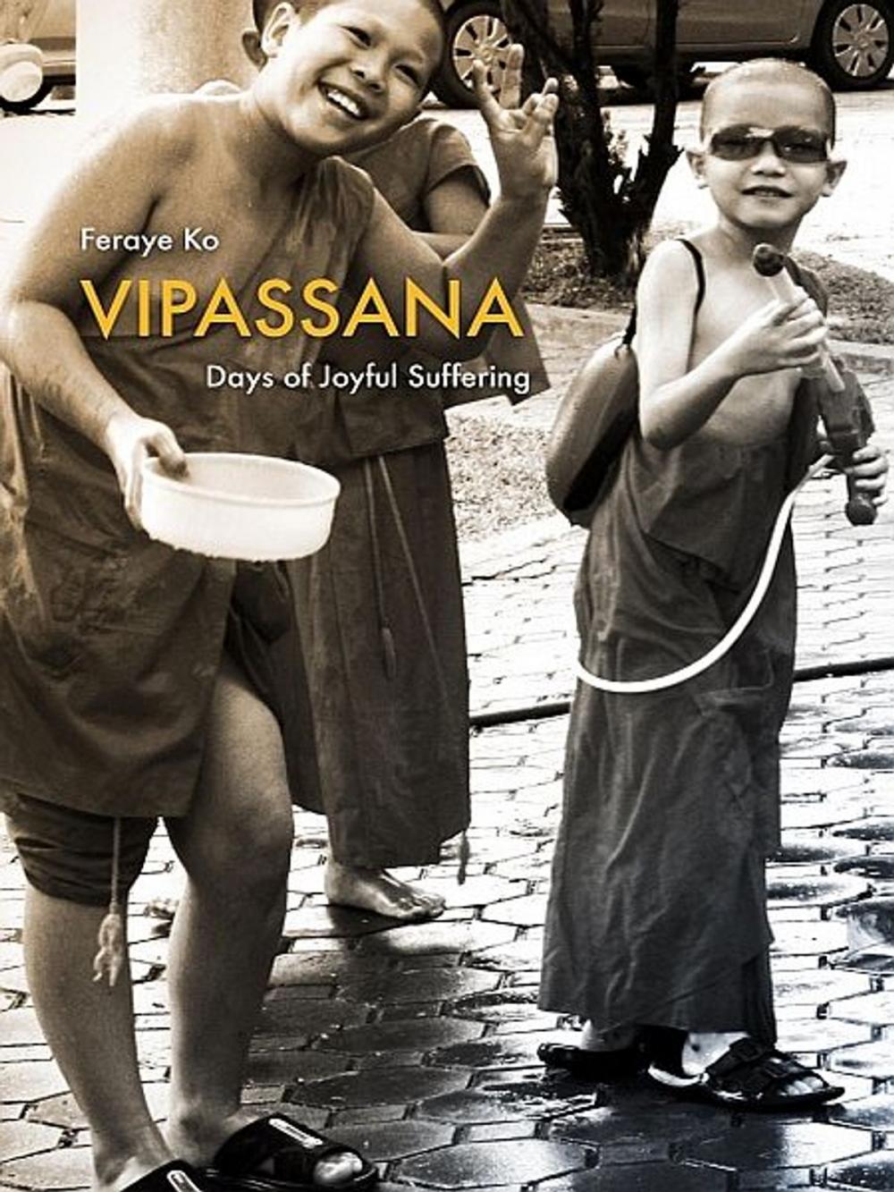 Big bigCover of Vipassana