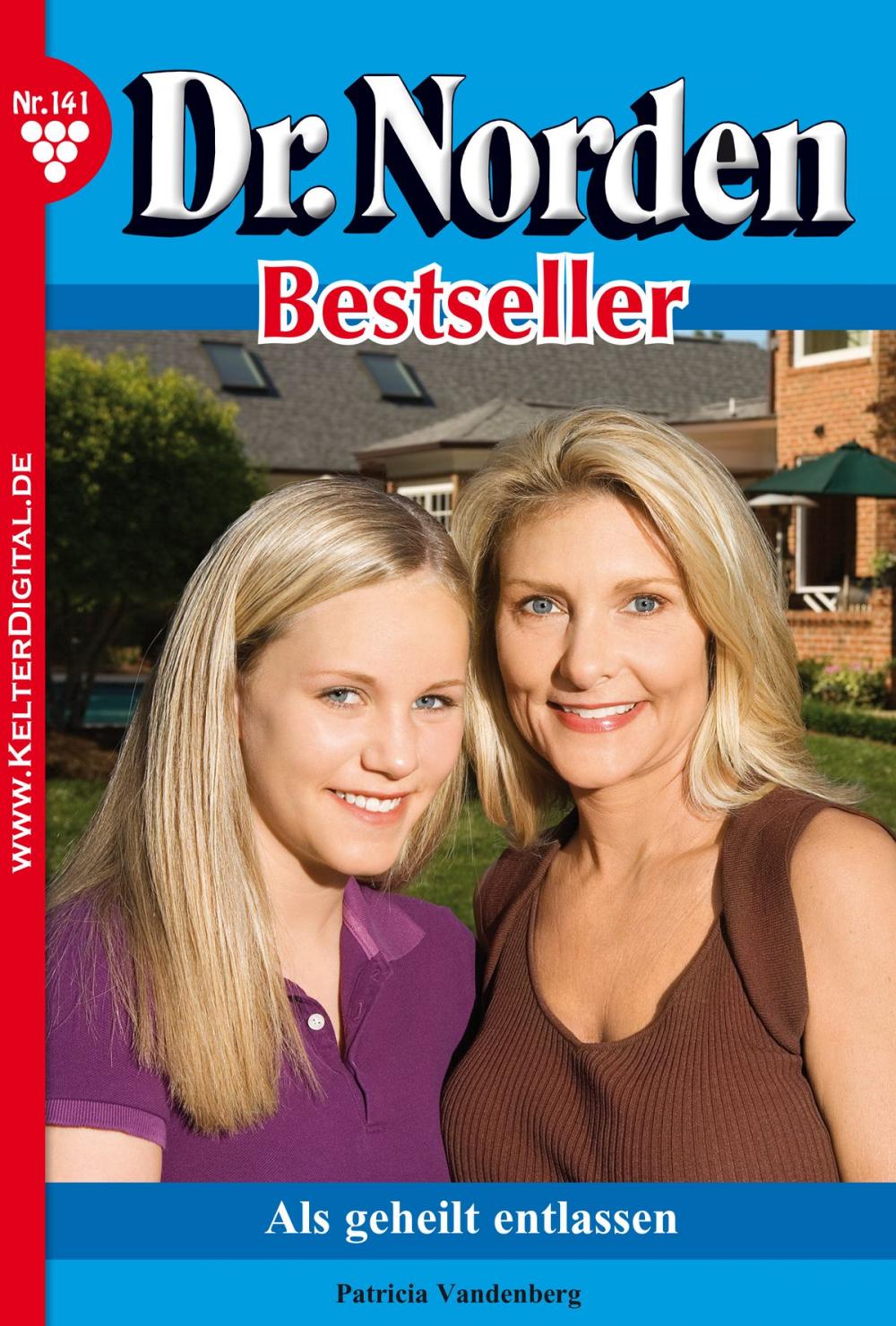 Big bigCover of Dr. Norden Bestseller 141 – Arztroman