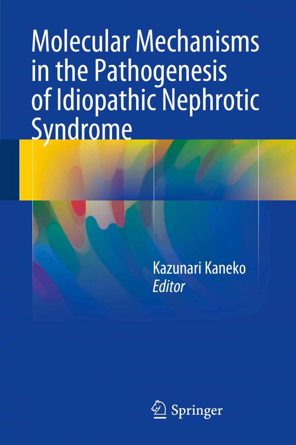 Big bigCover of Molecular Mechanisms in the Pathogenesis of Idiopathic Nephrotic Syndrome