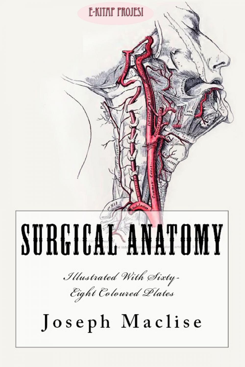 Big bigCover of Surgical Anatomy