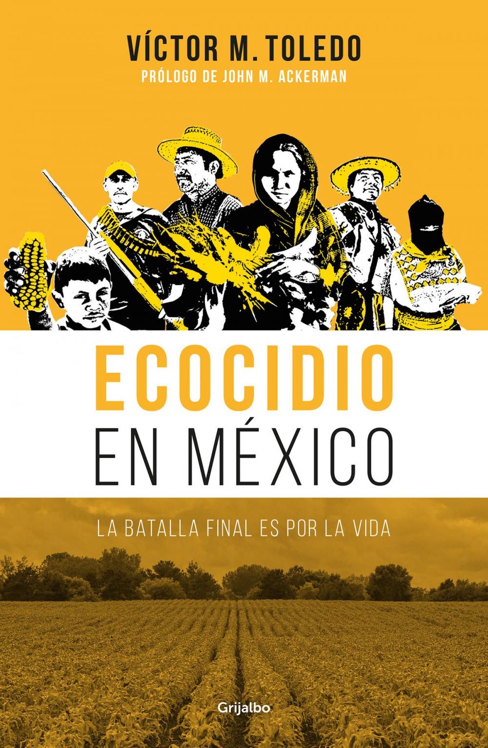 Big bigCover of Ecocidio en México