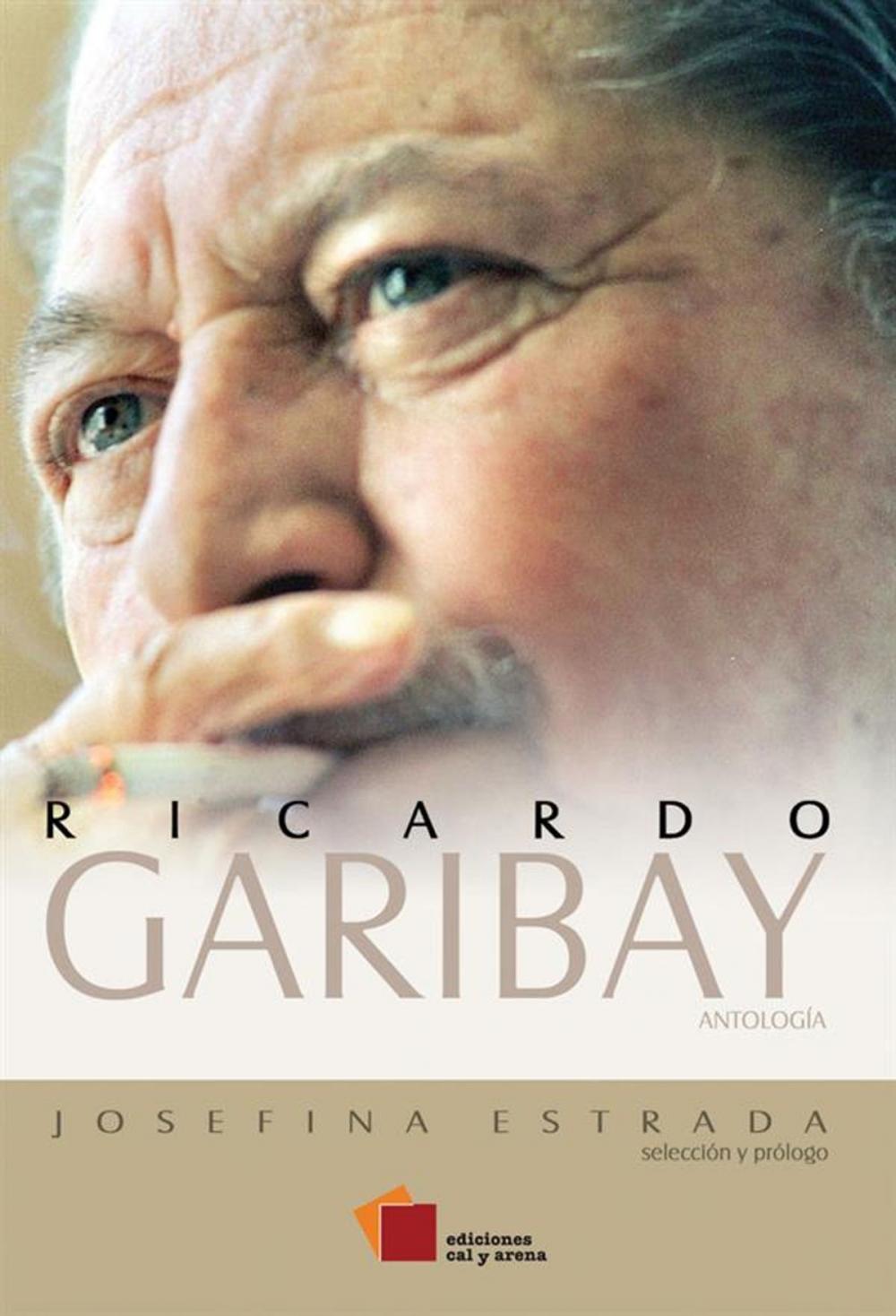 Big bigCover of Ricardo Garibay – Antología